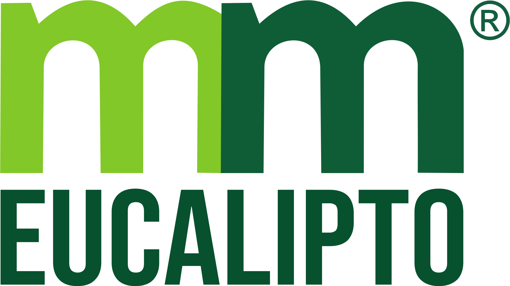 MM Eucalipto