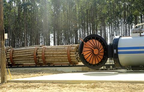 Usina MM Eucalipto 3